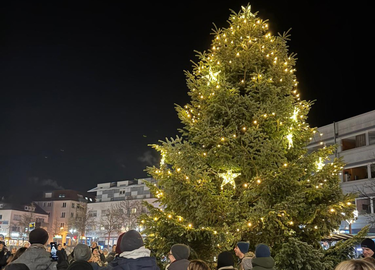 Weihnachtsbaum 2025 ist 12 Meter hoch und 2 Tonnen schwer